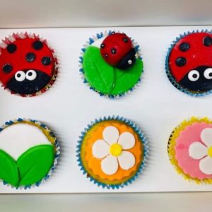 KIDS FONDANT CUPCAKE DECORATING - PRIVATE LESSON - 8+